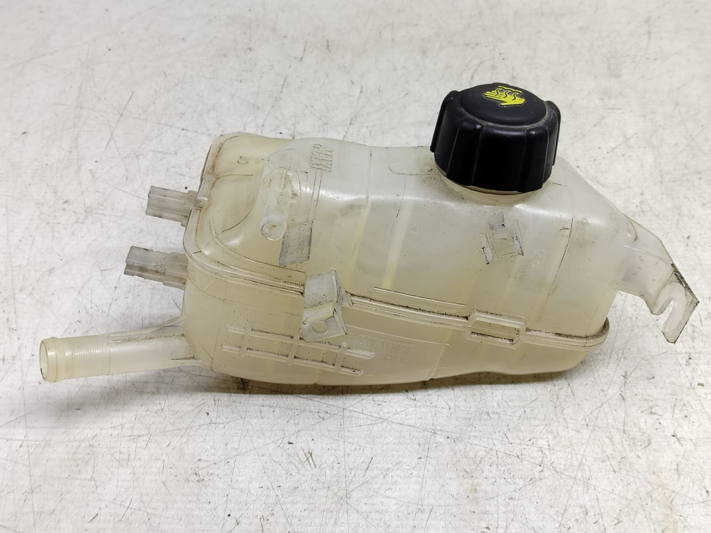 Vas expansiune 1.9 dci F9Q870 217100005r Renault Scenic 3 [2009 - 2012]