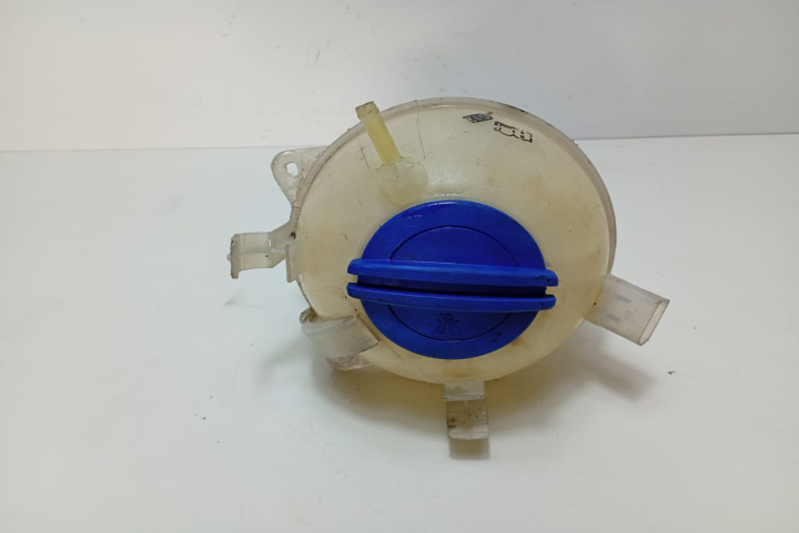 Vas expansiune 1K0121407A Seat Leon 2 1P [2005 - 2009]
