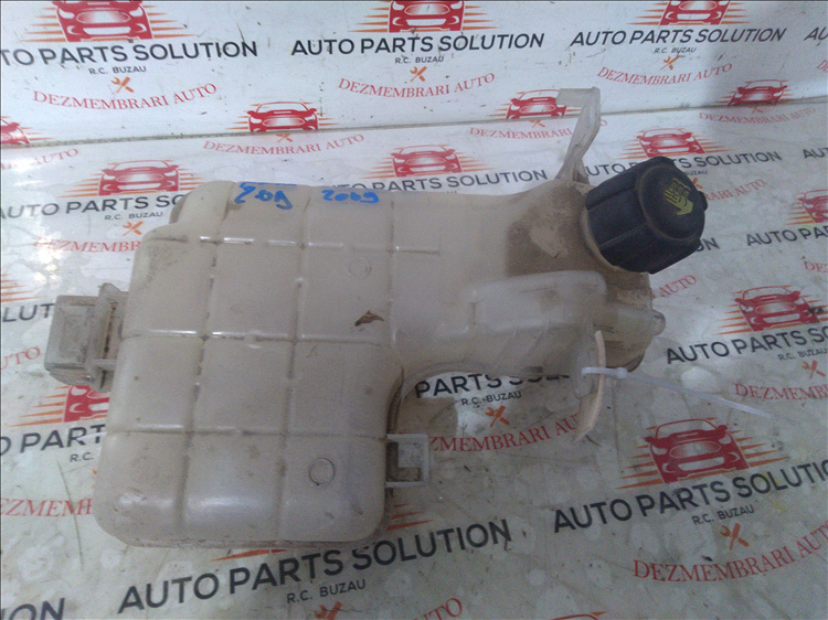 Vas expansiune 2.0 d RENAULT ESPACE an fabr. 2009