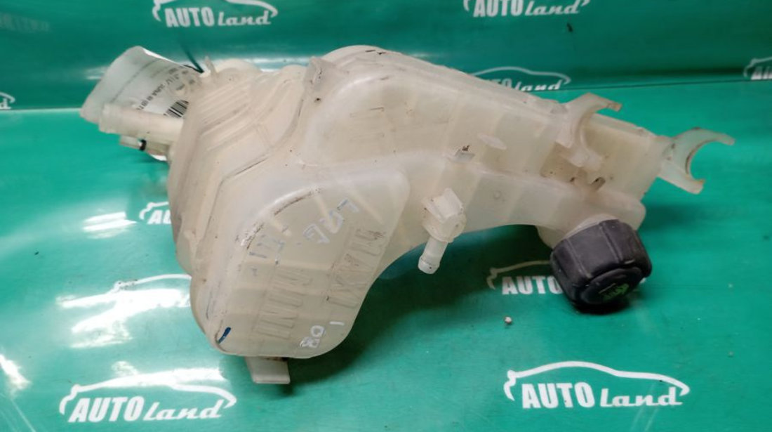 Vas Expansiune 2.0 DCI Renault LAGUNA III BT0/1 2007