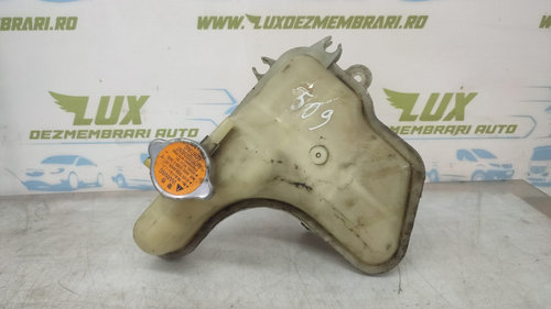 Vas expansiune 2.2 hdi Mitsubishi Outlander 2 [facelift] [2009 - 2013] 2.2 hdi 4HN 4hk
