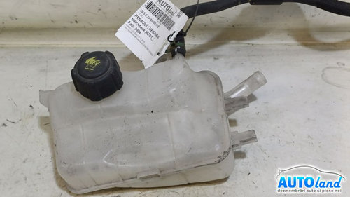 Vas Expansiune 217100005r 1.5 DCI Renault MEGANE III Hatchback BZ0/1 2008