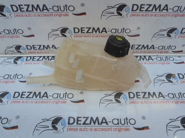Vas expansiune, 217100005R, Dacia Duster 1.5 dci