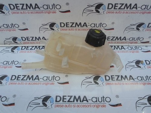 Vas expansiune, 217100005R, Dacia Duster 1.5 dci