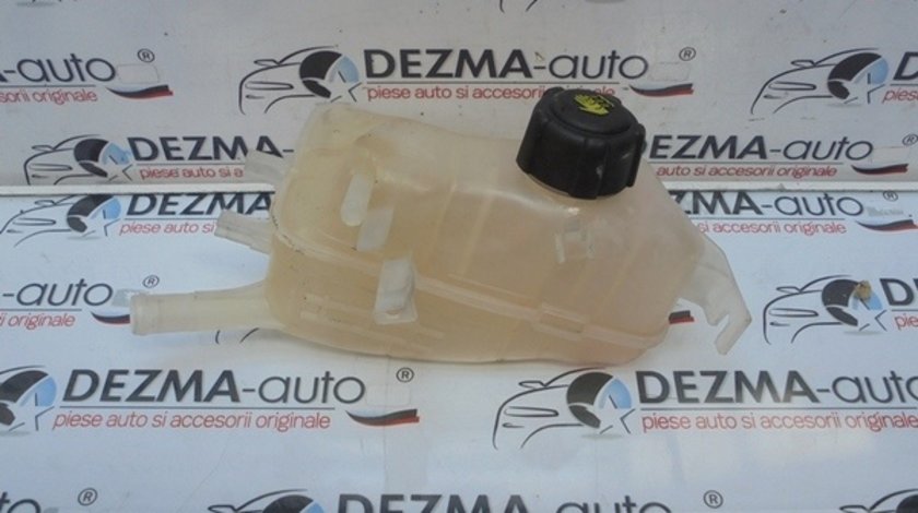 Vas expansiune, 217100005R, Renault Fluence 1.5 dci