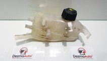 Vas expansiune, 217100005R, Renault Fluence din de...