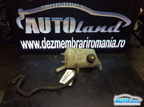 Vas Expansiune 217100005r Renault SCENIC III JZ0/1 2009