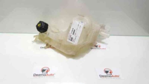 Vas expansiune, 217100014R, Renault Laguna 3 (id:336885)