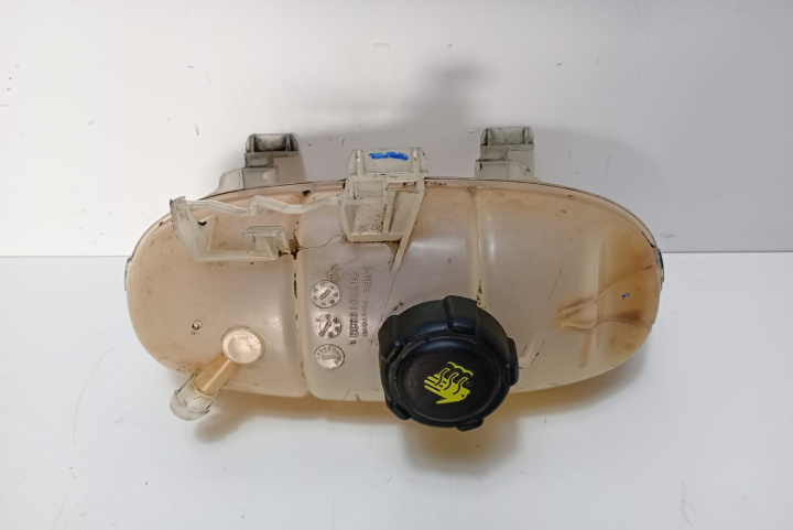 Vas expansiune 217101893R Fiat Talento