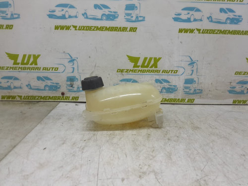 Vas expansiune 217102572r Renault Captur 2 [2019 - 2020]