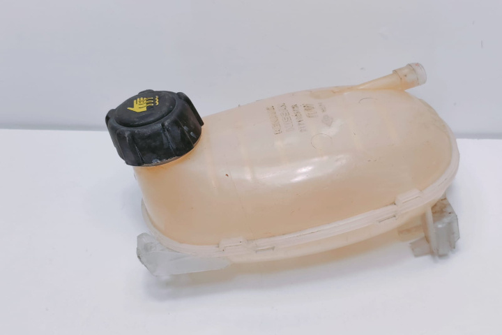 Vas expansiune 217102572R Renault Clio 5 [2019 - 2023]