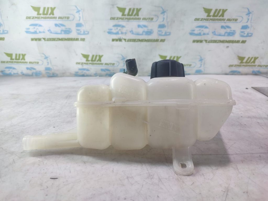 Vas expansiune 217104048r Renault Megane 4 [2016 - 2020]