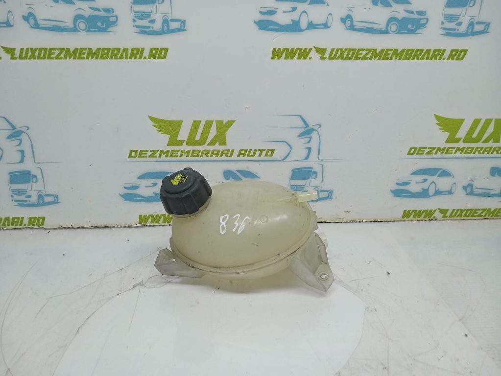 Vas expansiune 217107259r Renault Clio 4 [2012 - 2020]