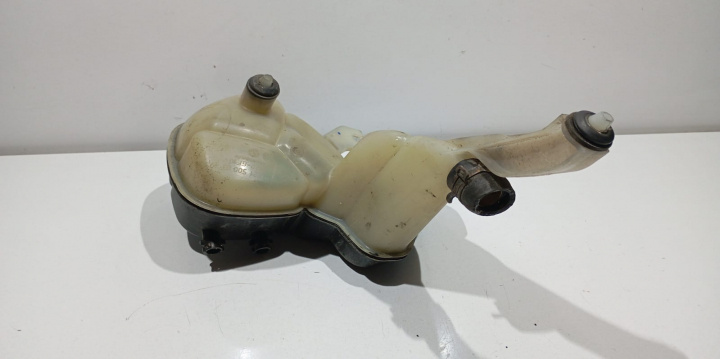 Vas expansiune 2215000349 Mercedes-Benz S-Class W221 [2005 - 2009]