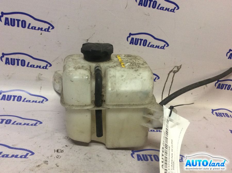 Vas Expansiune 254311d200 2.0 CRDI Kia CARENS III UN 2006