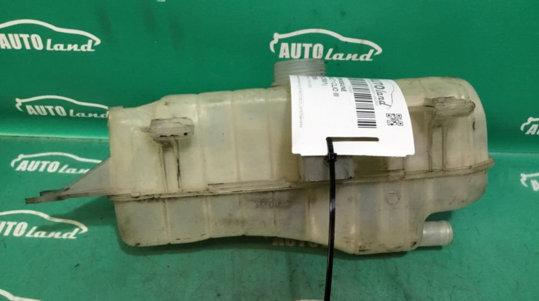 Vas Expansiune 8200149742 Renault CLIO III BR0/1,CR0/1 2005