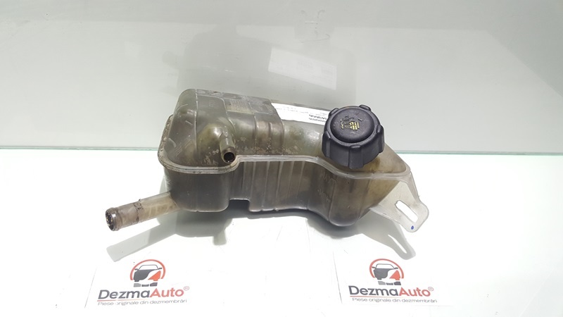 Vas expansiune, 8200262036, Renault Megane 2 combi