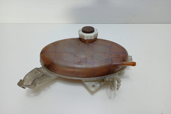 Vas expansiune 8200595002 Renault Master 2 [1997 - 2004]
