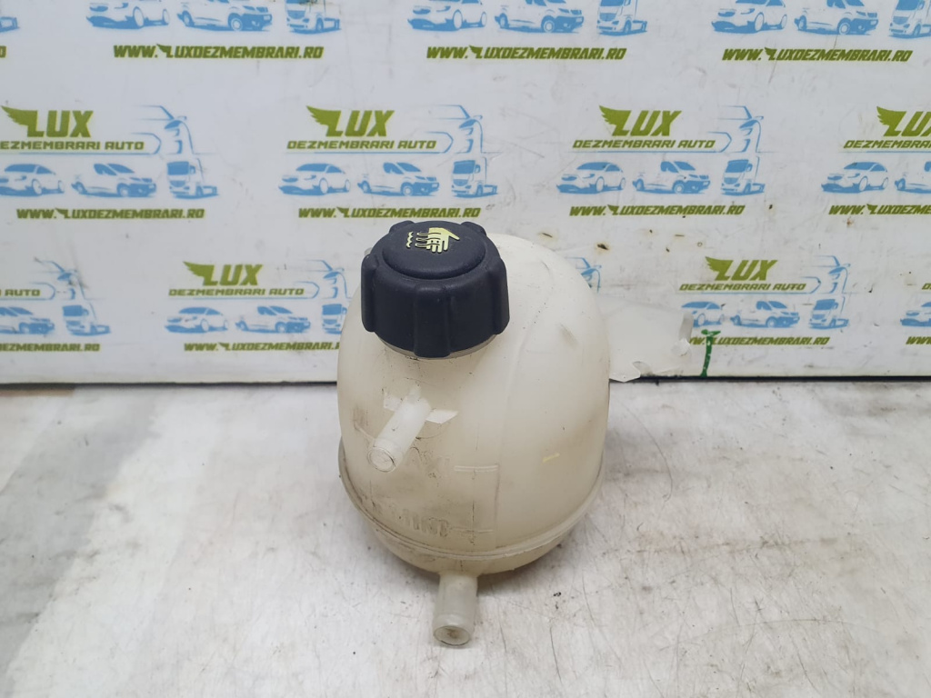 Vas expansiune 8200766826 Dacia Sandero 