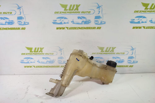 Vas expansiune antigel 2.0 dci m9r 217100014r Renault Laguna 3 [2007 - 2011]