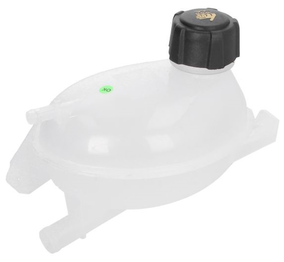 Vas Expansiune + Capac Asam Dacia Duster 2010-2017 32103