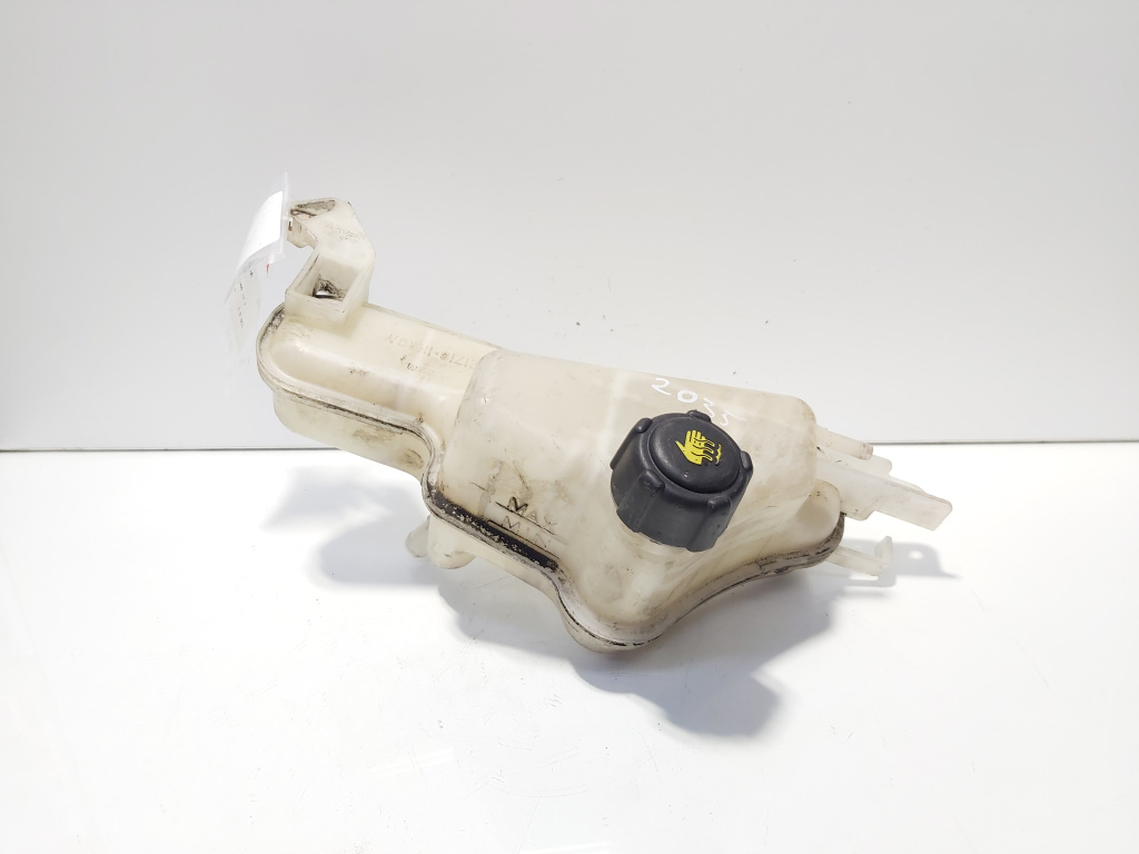 Vas expansiune, cod 21710-1KB0A, Nissan Juke, 1.5 DCI, K9K636 (id:627724)