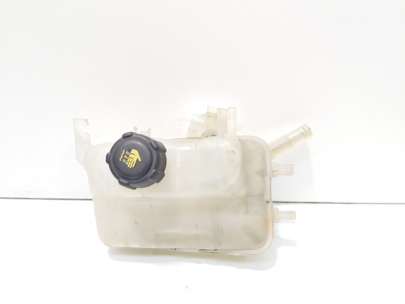 Vas expansiune, cod 217100005R, Renault Grand Scenic 3, 1.6 DCI (id:525795)