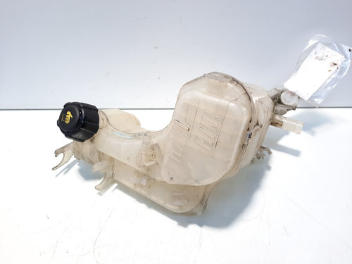 Vas expansiune, cod 217100014R, Renault Laguna 3, 2.0 DCI, M9R802 (id:555066)