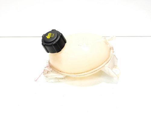 Vas expansiune, cod 217107259R, Dacia Sandero 2 Stepway, 1.2 16v benz (idi:520640)