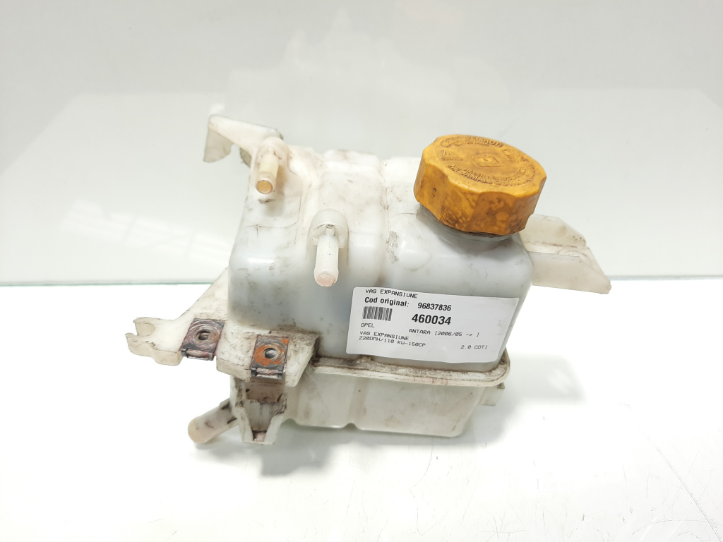 Vas expansiune, cod 96837836, Opel Antara (pr:110747)