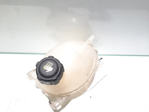 Vas expansiune, Dacia, 1.5 DCI, K9K612, cod 217107259R (id:452179)