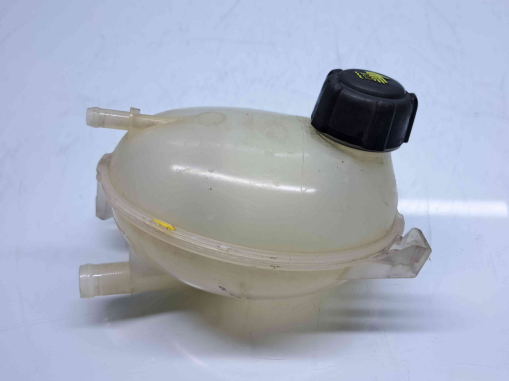 Vas expansiune Dacia Duster (PH2, H79) [Fabr 2013-2017] 217107259R