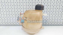 Vas expansiune Dacia Sandero [Fabr 2008-2012] 8200...