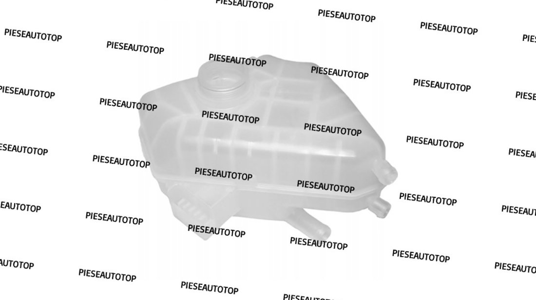 Vas expansiune Ford EcoSport 2013-2017 NOU 1513111 8V218K218AB (BENZINA)