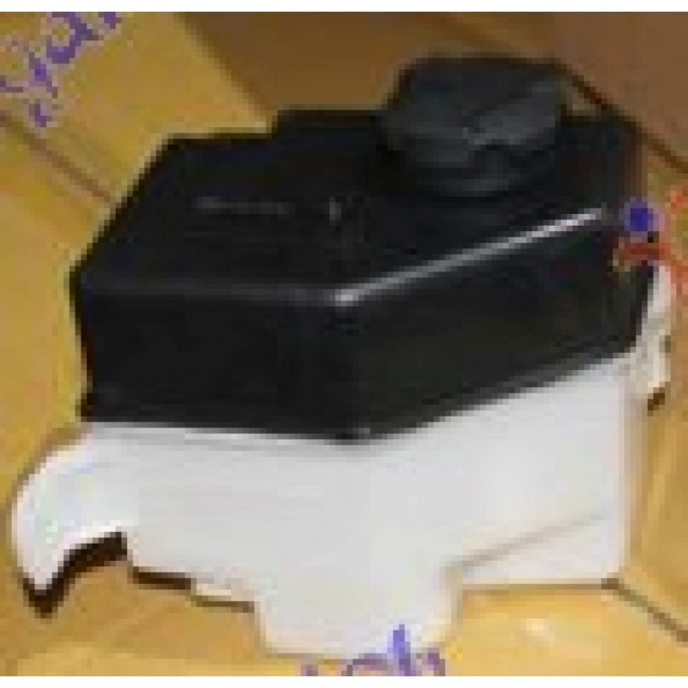 Vas Expansiune - Hyundai Accent Sdn 2006 , 25431-1g000