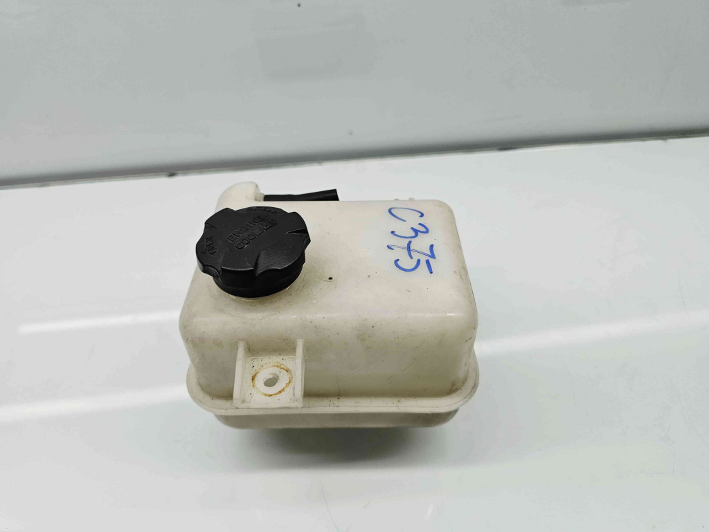 Vas expansiune Hyundai ix35 (LM) [Fabr 2