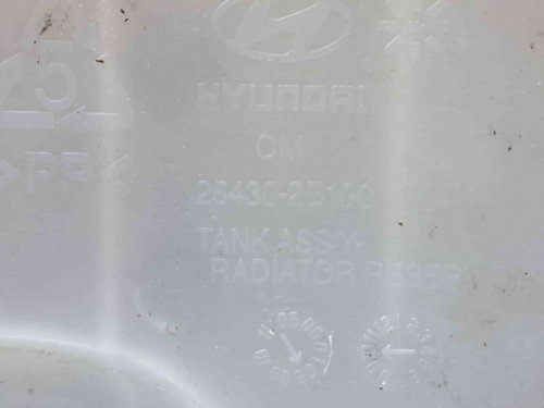 Vas expansiune Hyundai Santa Fe 2 (CM) [Fabr 2005-2012] 25430-2B100