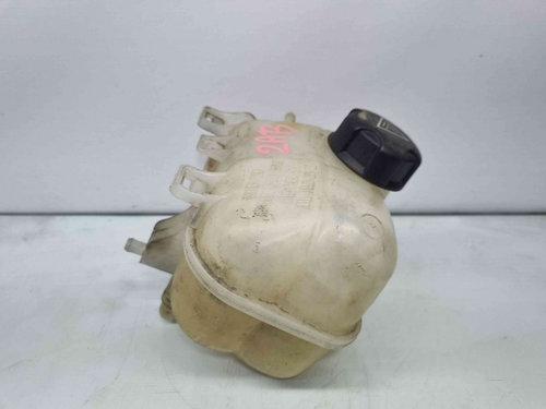 Vas expansiune MINI Cooper (R56) [Fabr 2006-2014] 7539267