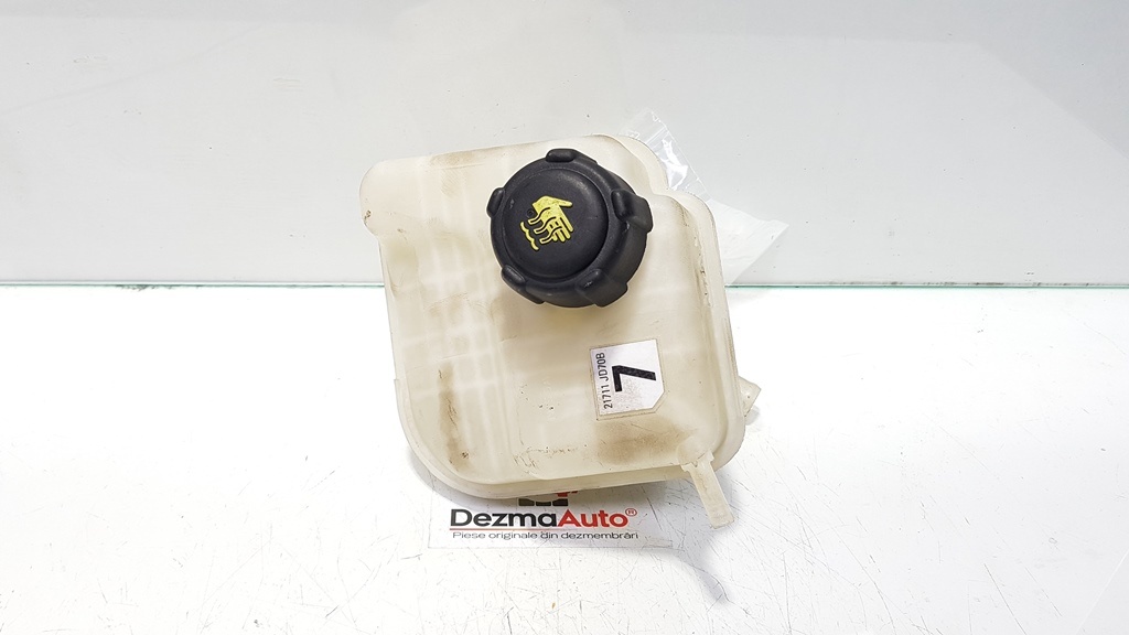 Vas expansiune Nissan Qashqai, 2.0 dci 21711JD70B (id:382526)