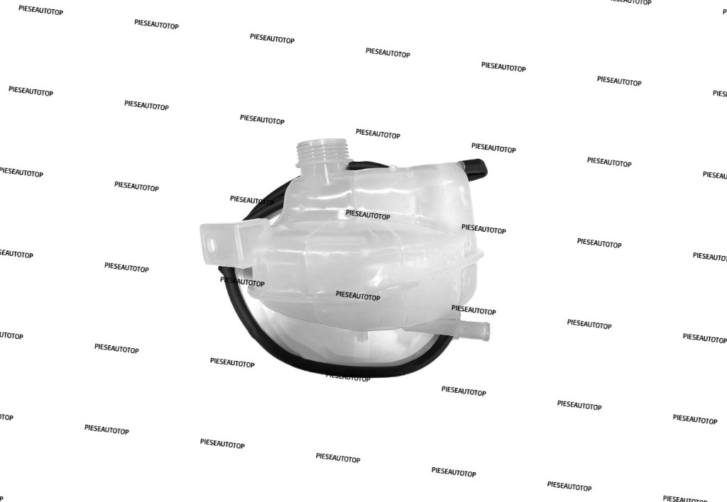 Vas expansiune Nissan Qashqai 2 2013-2021 NOU 217114EA0A (BENZINA / DIESEL)