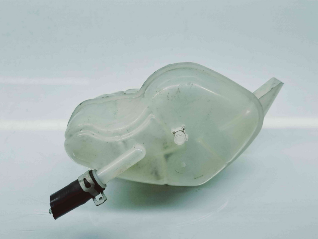 Vas expansiune Nissan Qashqai (2) [Fabr 2013-2017] OEM