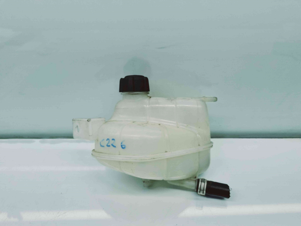 Vas expansiune Nissan Qashqai (2) [Fabr 2013-2017] OEM