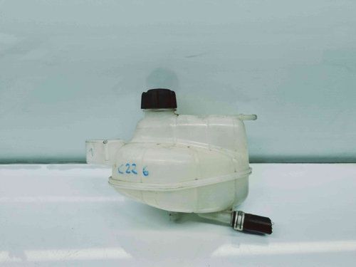 Vas expansiune Nissan Qashqai (2) [Fabr 2013-2017] OEM