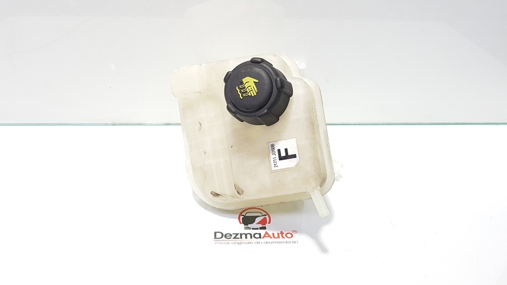 Vas expansiune, Nissan Qashqai, 21711JD50B (id:391366)