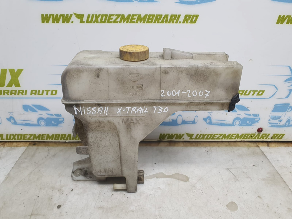 Vas expansiune Nissan X-Trail T30 [2001 - 2004]