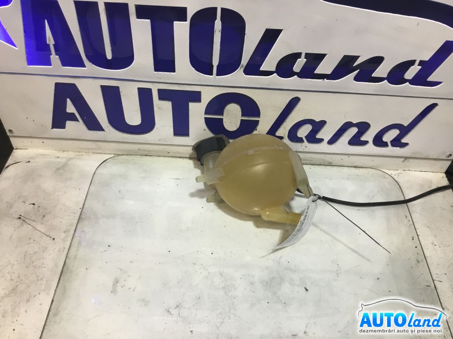 Vas Expansiune Peugeot 307 CC 3B 2003