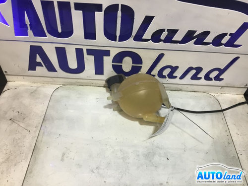 Vas Expansiune Peugeot 307 CC 3B 2003