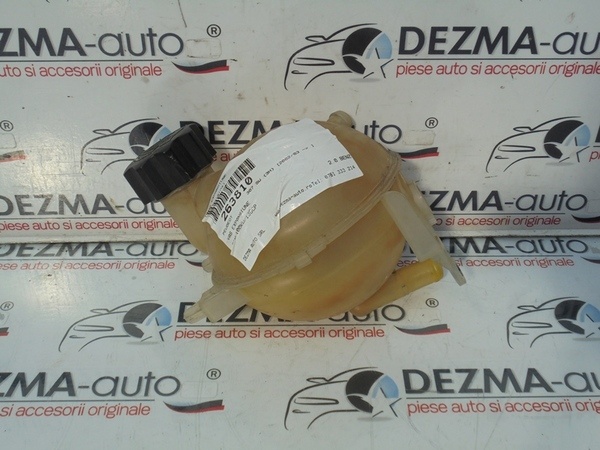 Vas expansiune, Peugeot 307 SW (3H) (id:263810)