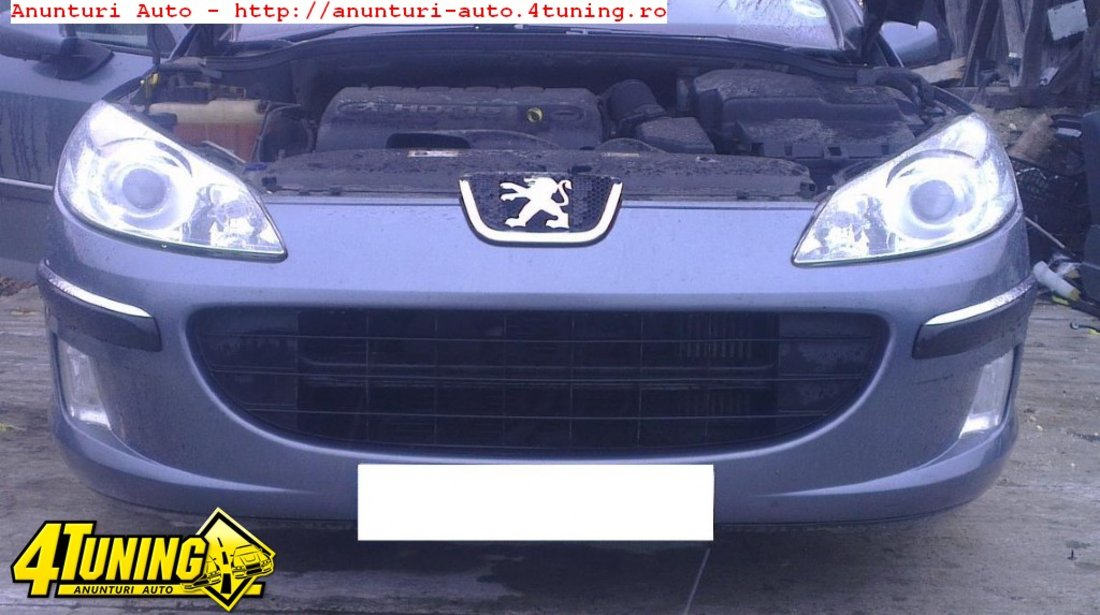 Vas expansiune peugeot 407