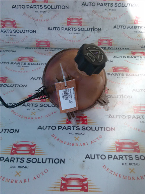 Vas expansiune PEUGEOT EXPERT 1.6 HDI an fabr. 2009